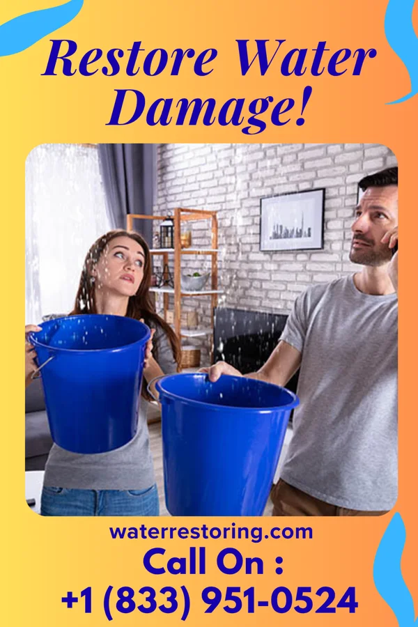 water restoration Vanguard Water Cleanup Professionals Franklin