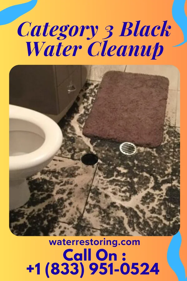 Category 3 Black Water Cleanup in Franklin, TN